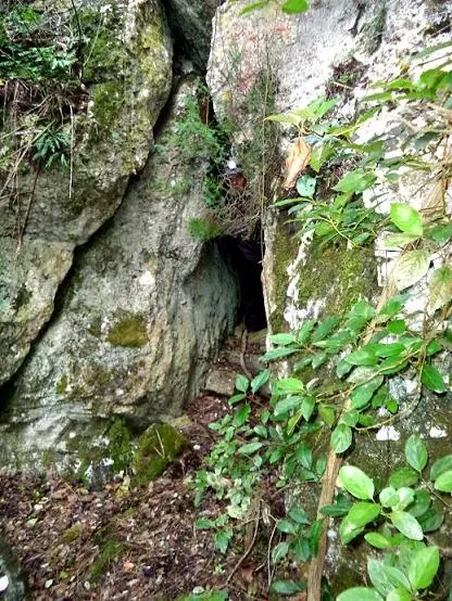 Fotografia de DOU, COVA DE LA (1 de 3)