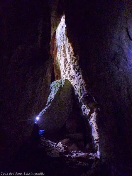 Fotografía de ALEU, COVA DE L' (4 de 6)
