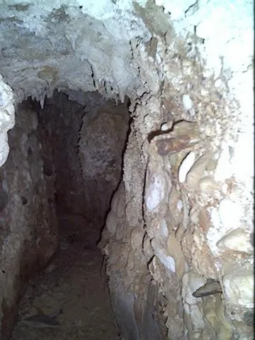 Photographie de CERÀMICA, COVA DE LA (4 sur 4)