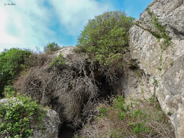 Fotografía de PORTELL, COVA DEL (1 de 3)
