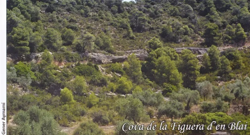 Fotografia de FIGUERA D'EN BLAI, COVA DE LA (1 de 1)