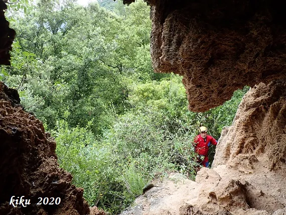 Fotografia de TOSQUES DEL GLORIETA, COVA DE LES (4 de 4)