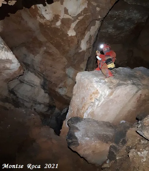 Fotografia de PEIXET, COVA D'EN (18 de 35)