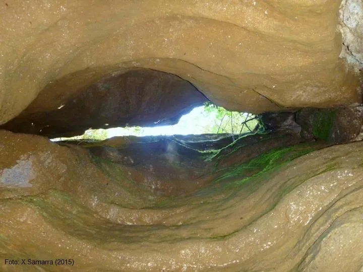 Fotografía de ROCA LLADRE, COVA DE (6 de 8)