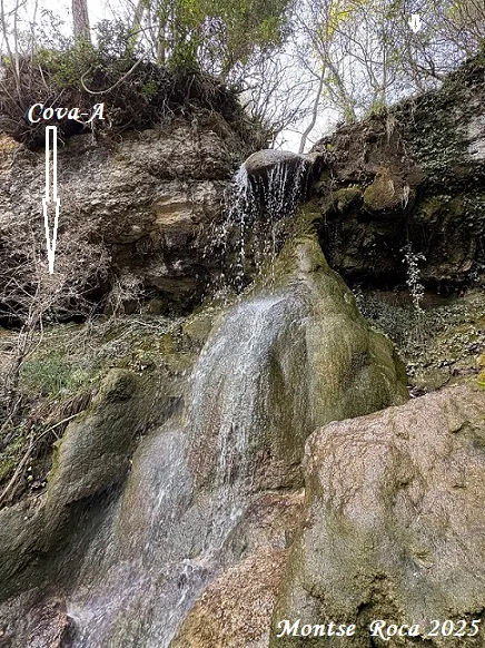 Fotografia de AIGUA DE CASELLES, COVES DE L' (9 de 13)