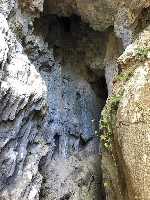 Photographie de PUNTA DE LES MOLES, AVENC DE LA (4 sur 5)