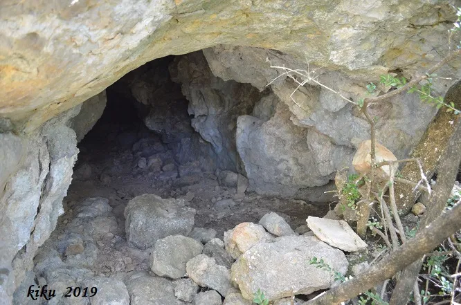 Photographie de FONT, COVA DE LA (2 sur 11)