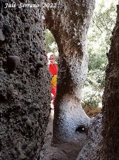 Fotografia de COLUMNA, COVA DE LA (7 de 8)
