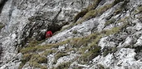 Fotografia de CARABASSER, GRALLERA DEL (1 de 4)