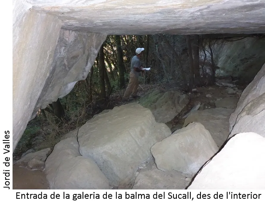 Fotografía de SECALL, BALMA DEL (3 de 3)