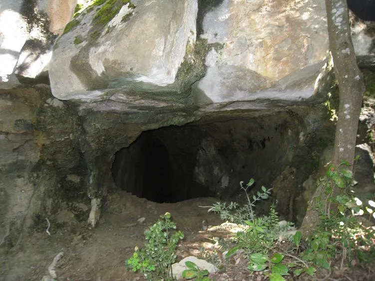 Fotografía de CARLINS, COVA DELS (1 de 3)