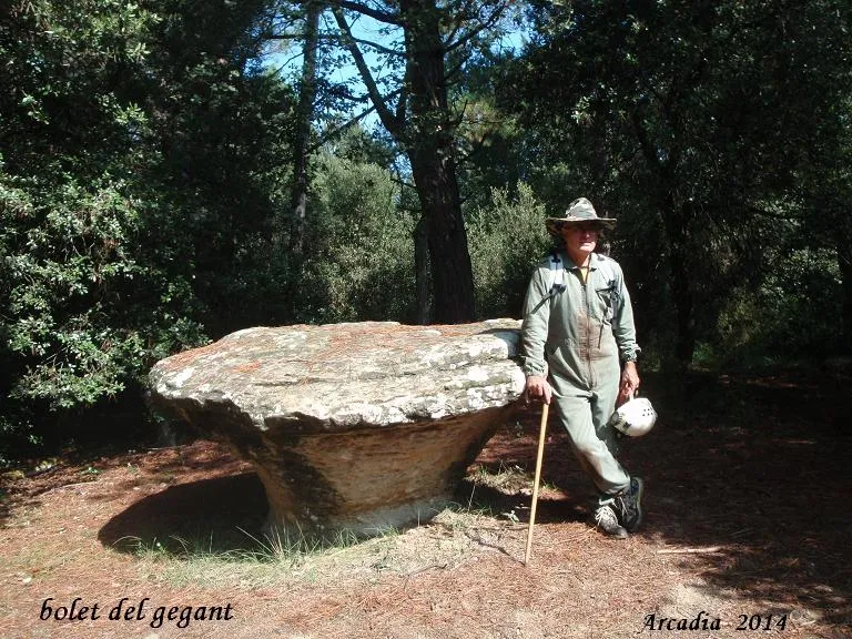 Photographie de GEGANT, COVA DEL (9 sur 9)