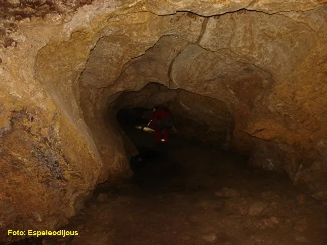 Photographie de CARRADON, COVA DE (8 sur 9)