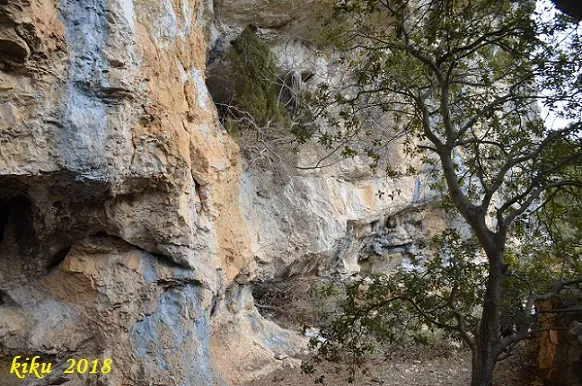 Photographie de ESCUDELLETA, COVA Nº9 DE L' (4 sur 5)