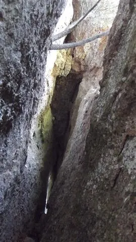 Photograph of ESQUIROL, COVA DE L' (3 of 7)