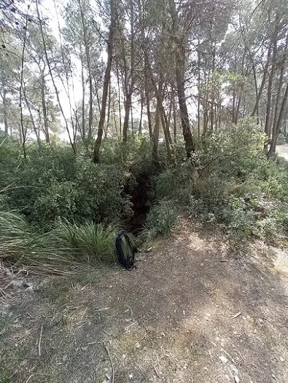 Fotografía de CLAR Nº 4, AVENCÓ (1 de 2)