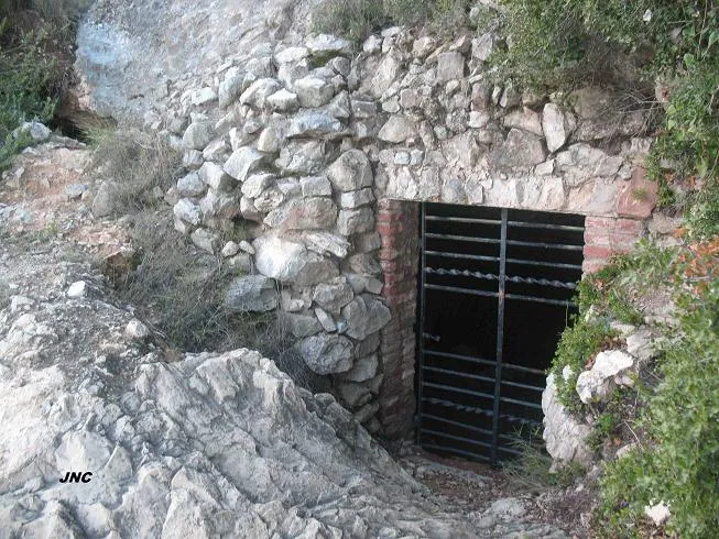Fotografia de PETRECÓ, COVA DEL (1 de 8)