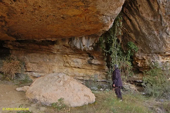 Photographie de CIGALOT DEL CORB, BALMA DEL (6 sur 6)