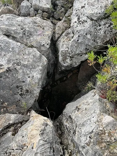 Photographie de CAMÍ DEL RÒSSEC, AVENC DEL (1 sur 1)