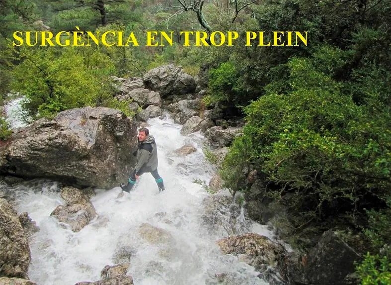 Fotografia de ENTRONADOR, L' (1 de 13)