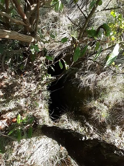 Fotografía de FRANCESC, AVENC D'EN (1 de 1)