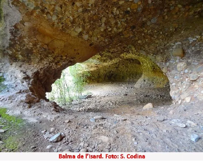 Photograph of ISARD, BALMA DE L' (4 of 4)