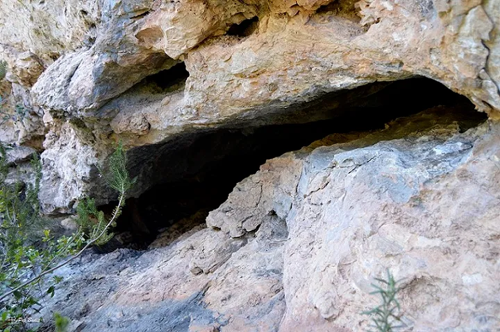 Fotografia de BRUTO, COVA DEL (1 de 5)