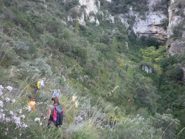 Photographie de BONICA, COVA (1 sur 4)