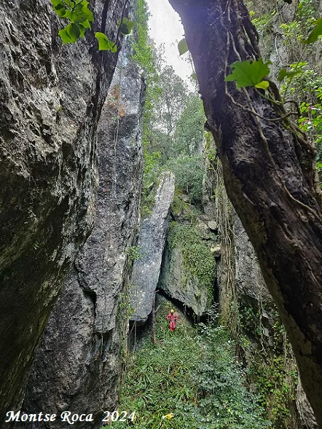 Fotografía de FOU DE BALET (7 de 11)