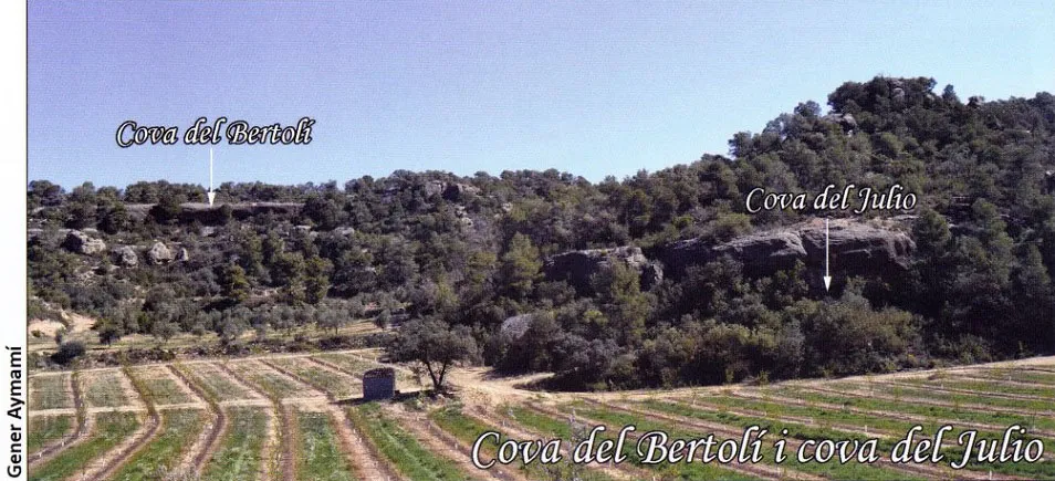 Fotografia de BERTOLÍ, COVA DEL (1 de 2)