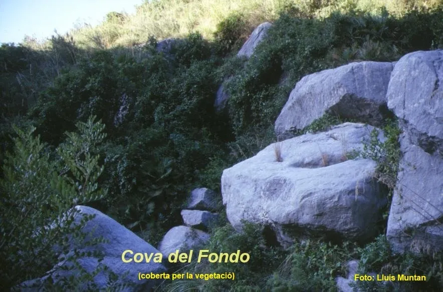 Fotografía de FONDO, COVA DEL (1 de 2)
