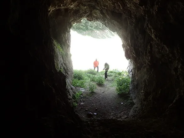 Fotografia de ÓS, COVA DE L' (4 de 4)