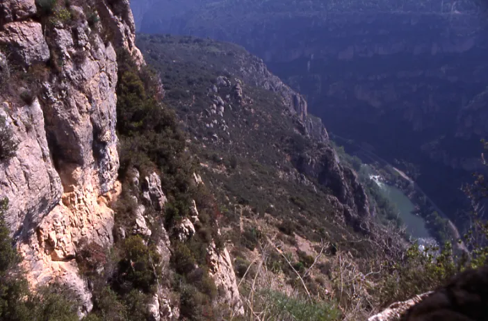 Fotografia de ARCADA, COVA DE L' (4 de 4)