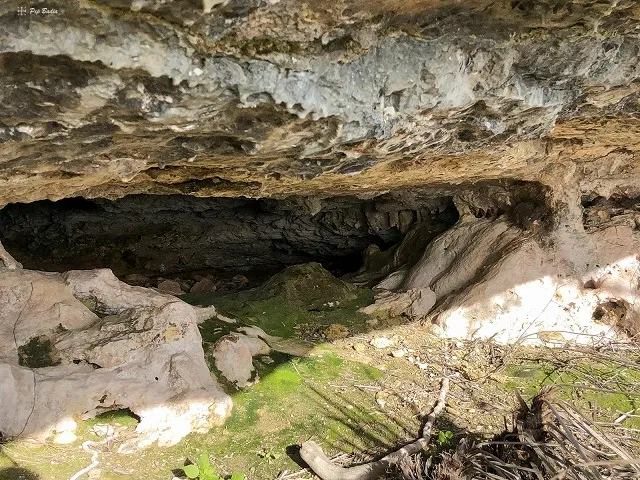 Photograph of MOLA PLANA, COVA DE LA (2 of 2)