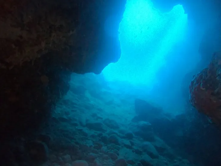 Fotografía de PUNTA GROSSA, COVA SUBMARINA DE LA (5 de 5)