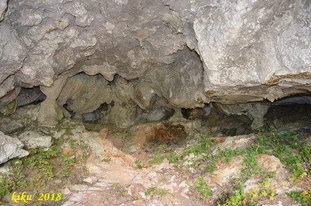 Photographie de ESCUDELLETA, COVA Nº7 DE L' (4 sur 8)