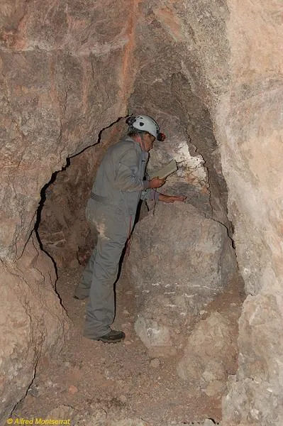 Photograph of LLIMBS, CAU DELS (4 of 6)