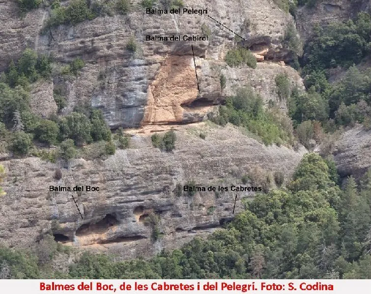 Fotografía de BOC, BALMA DEL (3 de 5)
