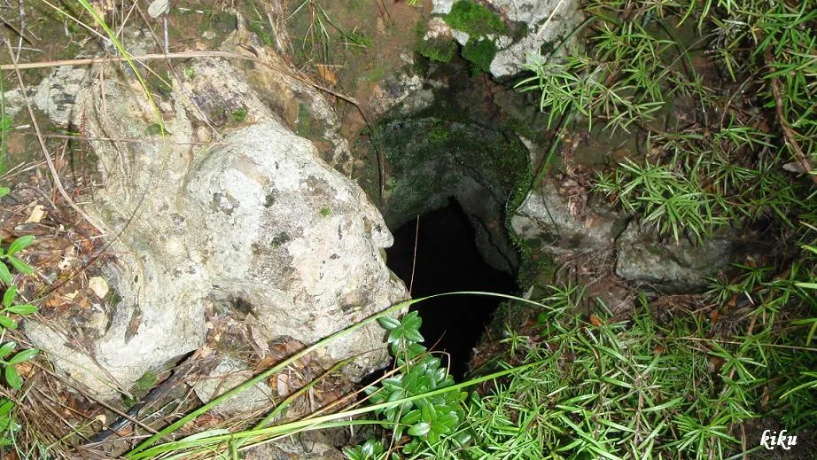 Fotografía de PASTOR, AVENC DEL (1 de 1)