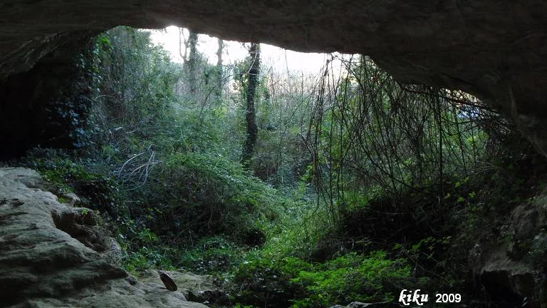 Fotografia de MOSQUERA, COVA DE LA (4 de 4)