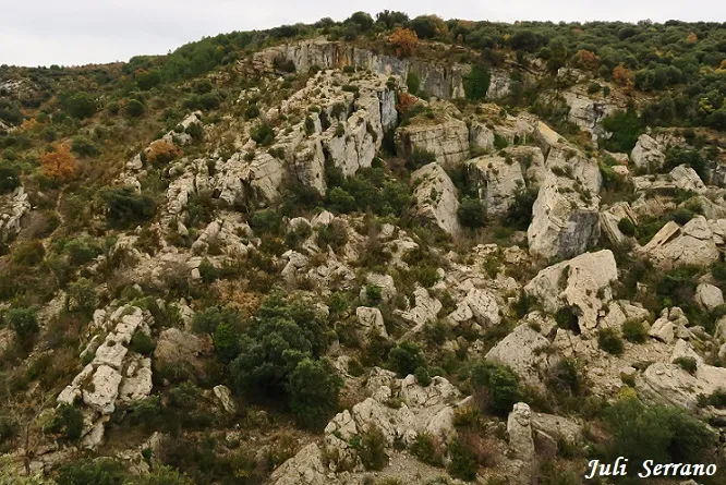 Photographie de PARDINA, GRALLER Nº4 DE LA (1 sur 8)