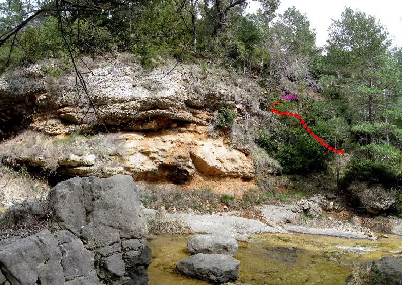 Photographie de MOLINOT, COVA DEL (1 sur 3)