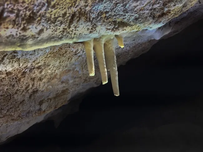 Fotografia de BARRAMON, COVA (3 de 3)