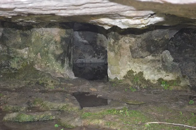Fotografía de PEDRÓS, BALMA DEL (4 de 4)