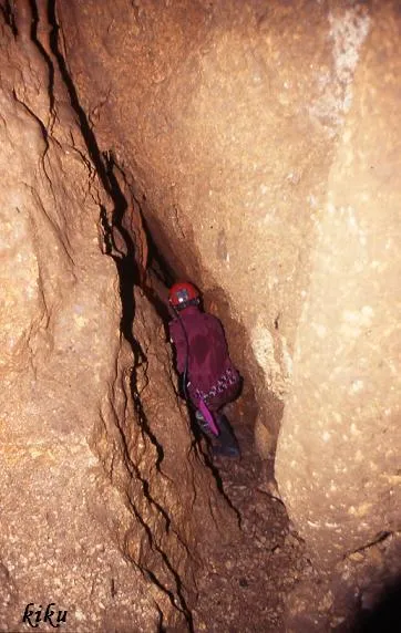 Photographie de VAQUERES,  GRALLER DE LES (3 sur 6)