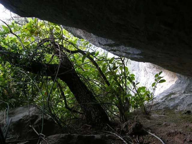Photographie de ESTENALLES, COVA D' (1 sur 2)