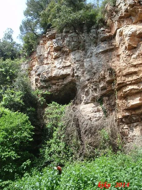 Fotografia de AFRAU, COVA II DE L' (1 de 7)