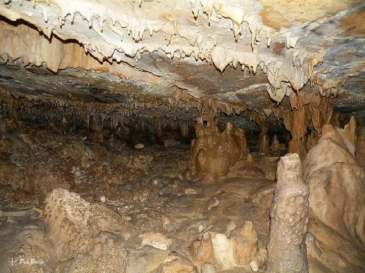 Fotografia de BONICA, COVA (6 de 18)