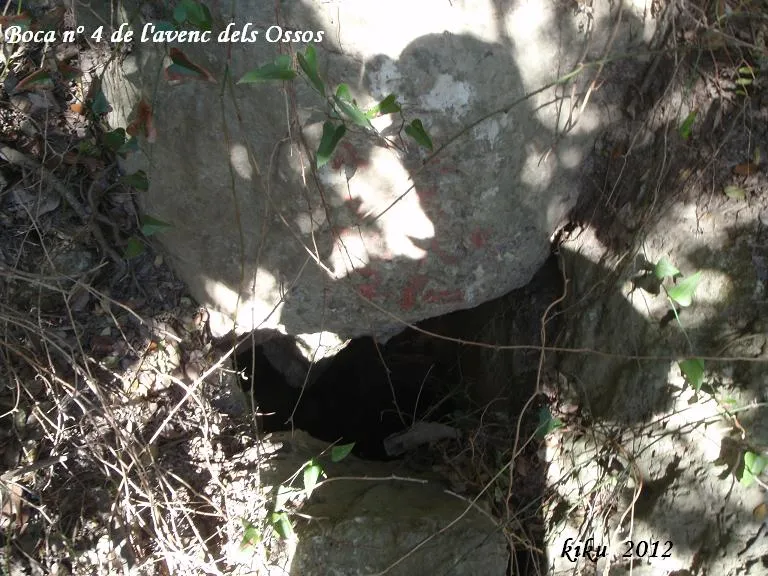 Fotografía de OSSOS, AVENC DELS (5 de 5)