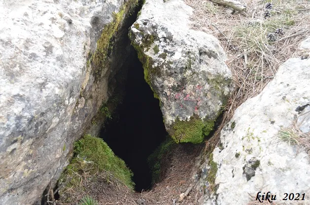 Fotografía de CAMALLERO, COVA DEL (3 de 3)